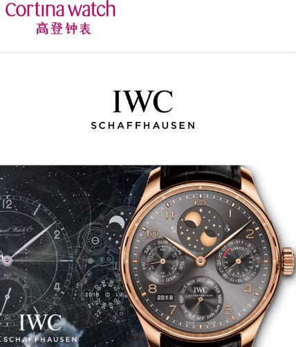 iwc watch price singapore|iwc watches price list.